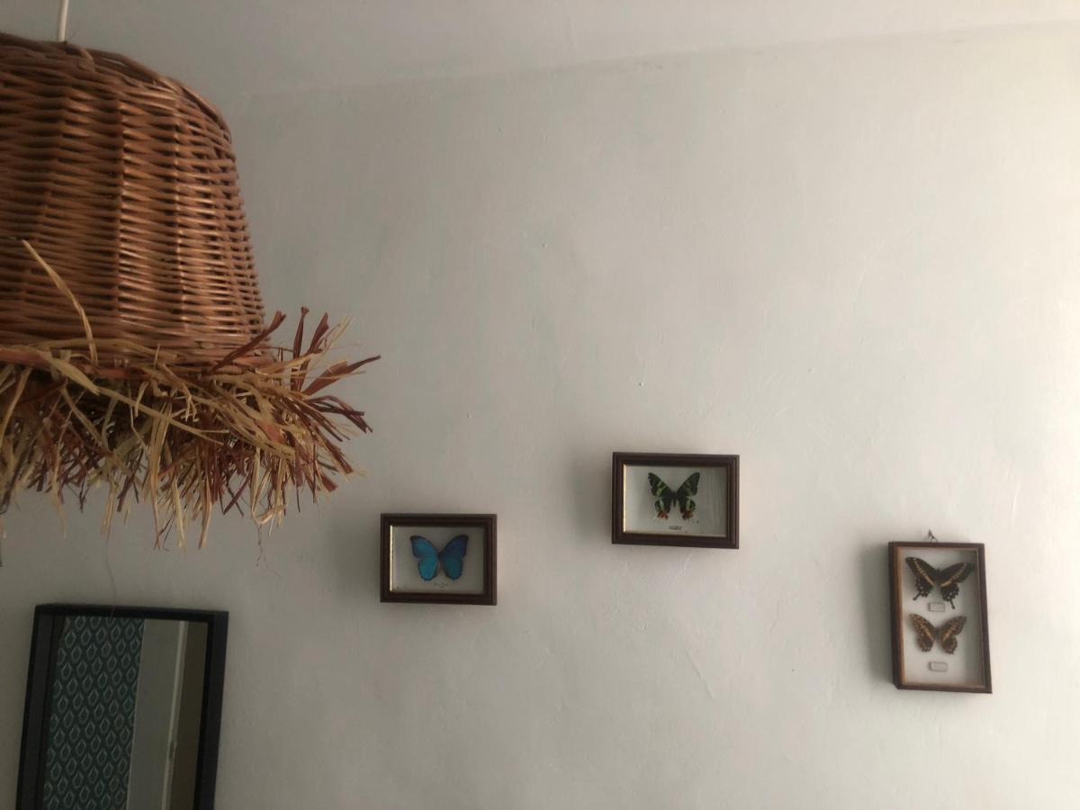Appt 2 Chambres Au Centre Ville 3E 马赛 外观 照片